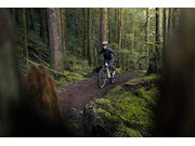 GIANT Embolden Pale Moss click to zoom image